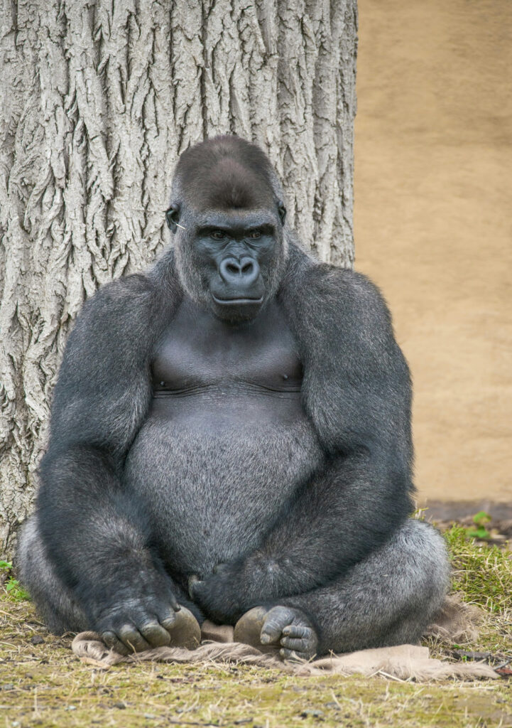 Hello World Featured Image